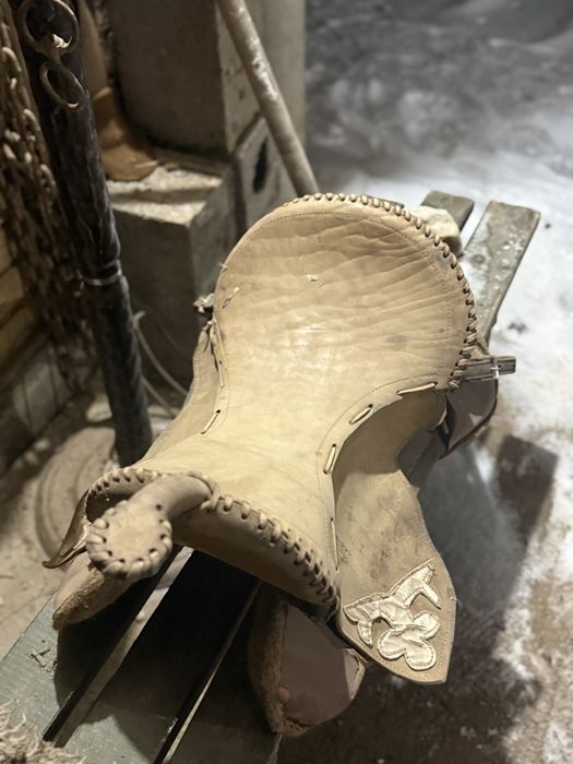 Ертокым  жылқыға