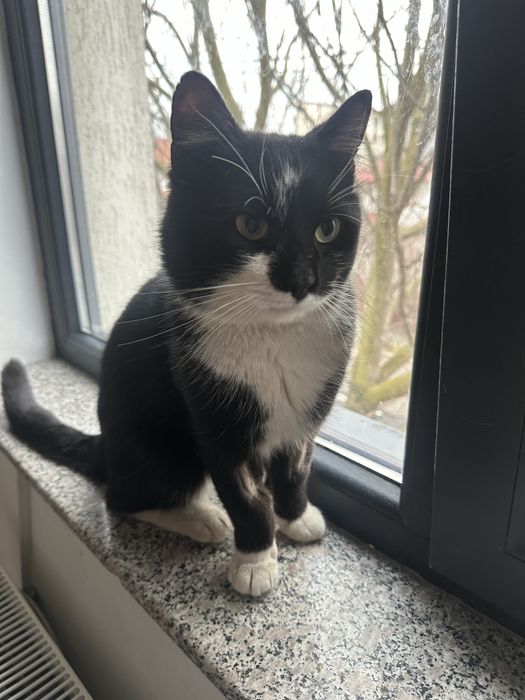 James Bond cauta casuta