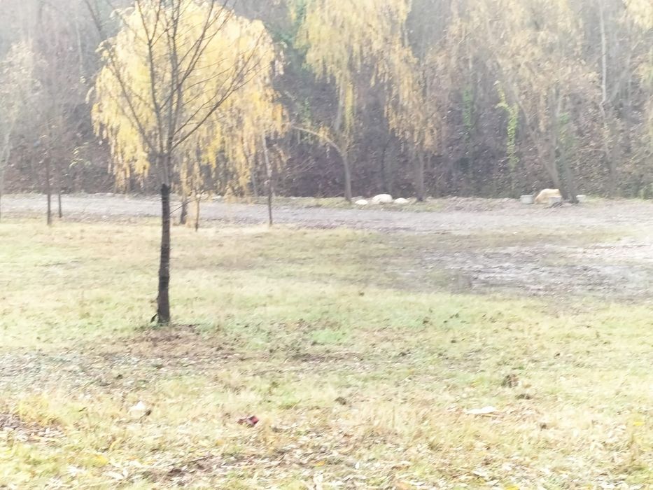 Teren de inchiriere eventual vanzare