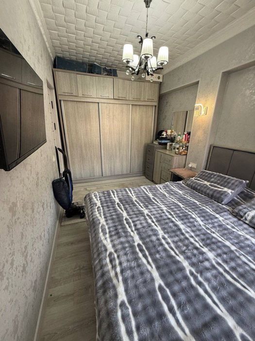 Qora qamish 2/3  da. 2/2/4