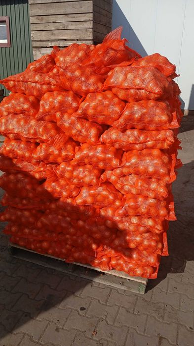 Ceapa de la producator