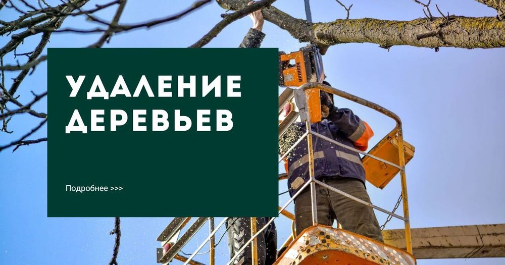 Спил валка кронирование