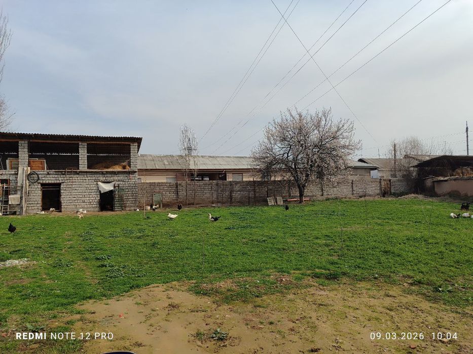 Yer sotiladi 7 sotka