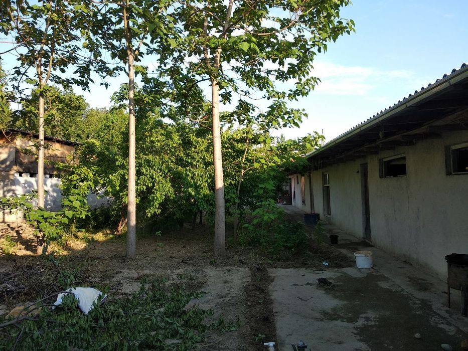 Продажа дачного участка возле парка Янги Узбекистан, Янги базор