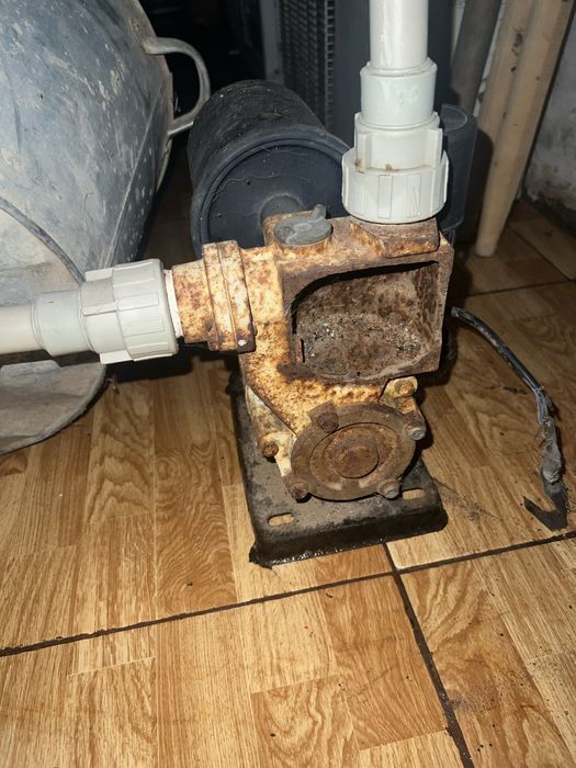 Носос водянной  мощный