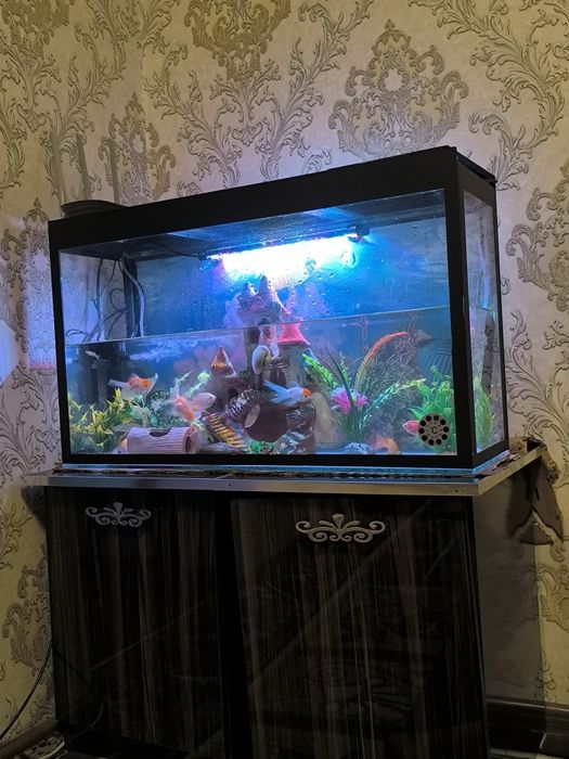 Аквариум сотилади