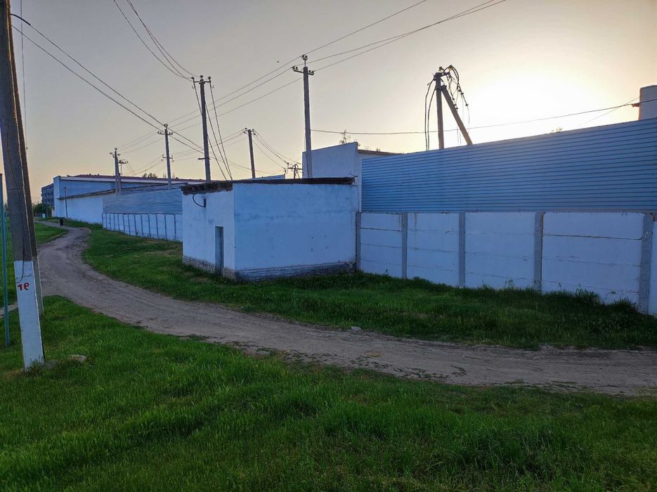 Янгиюльский район М-34 пересечение ул.Самаркандская 2.07 гек. 8437 кв.