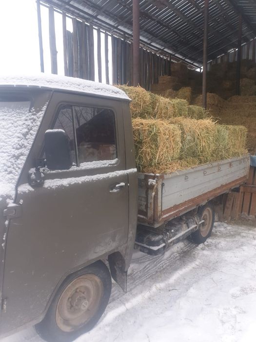 Сено люцерна 2000тг  Есть доставка