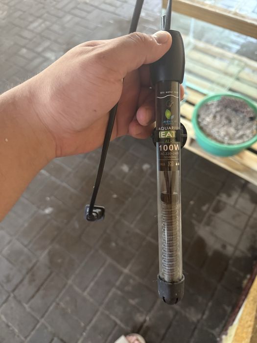 Аквариум большой