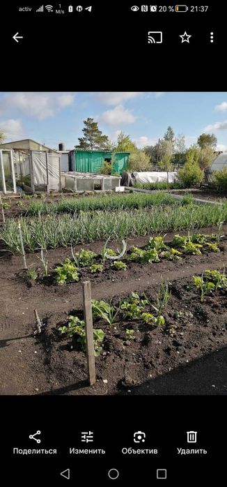 Продам дачу ст Борки, не сносят