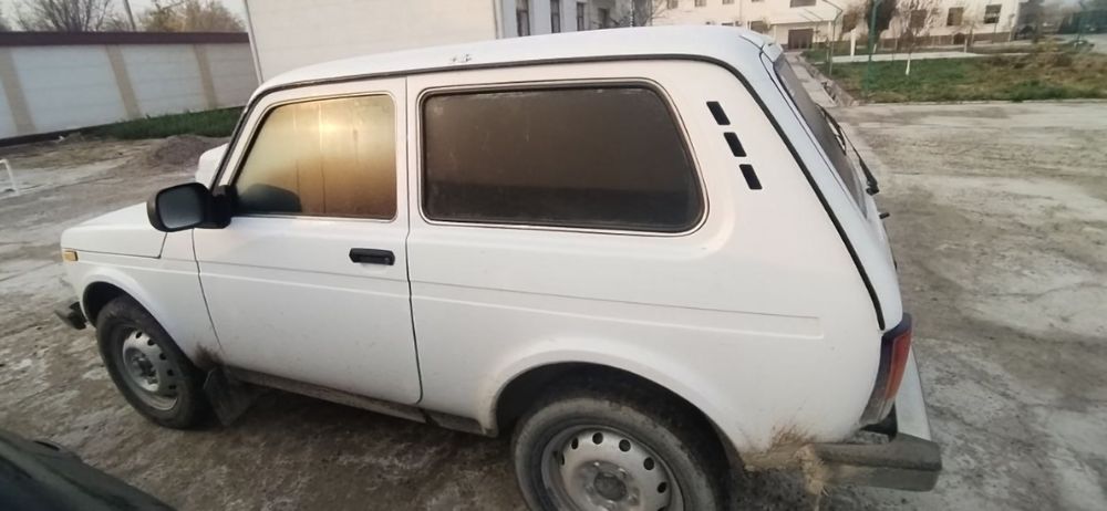 Niva xolati alo darajada