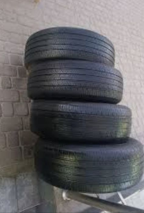 Balon sotiladi 14 razmer kobilt naxi 480 ming