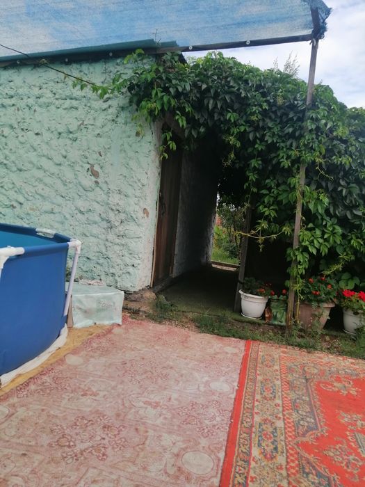 Продам дачу, ПКС "Ромашка" с урожаем