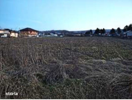 Teren intravilan Tomesti, cota parte 1/2, ID: R2992780