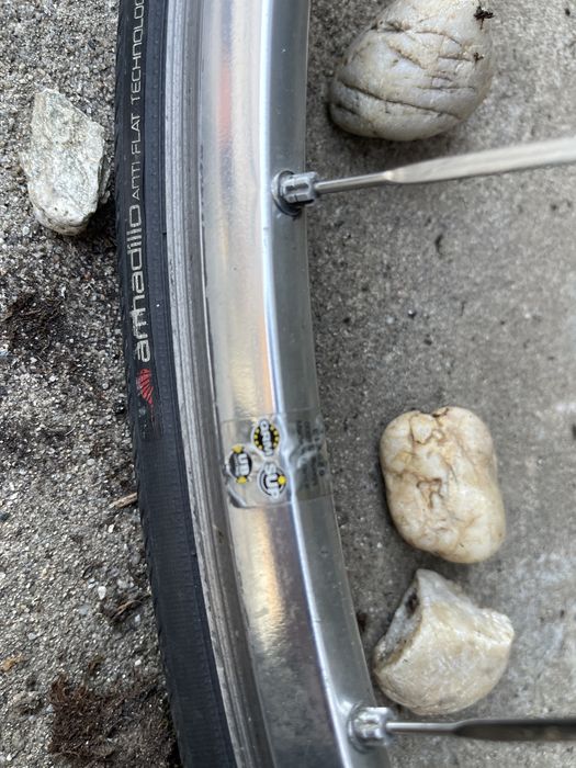 Roti cursiera Mavic Ksyrium Elite