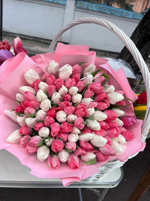 Тюльпан 101 штук