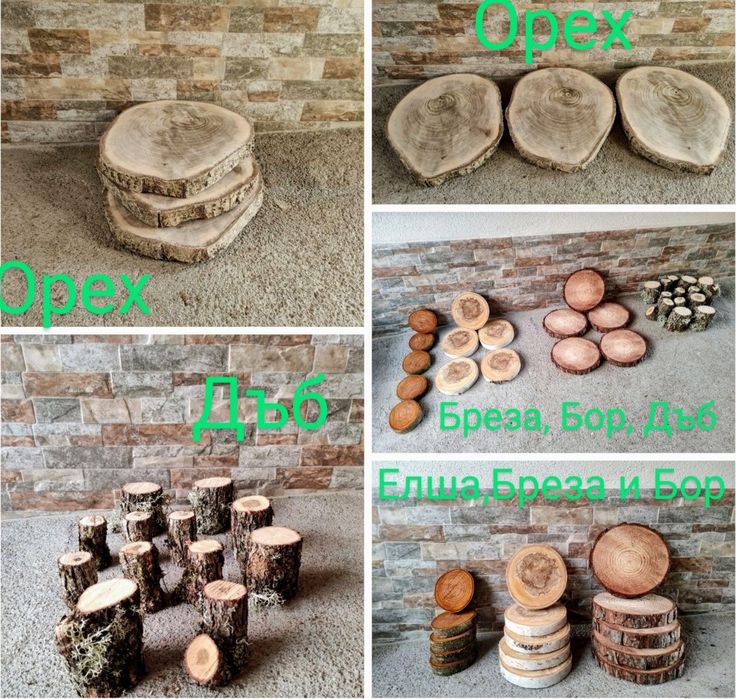 Дървени шайби Дъб,Елша,Бреза,Габер,Бор,Орех,Върба,Леска от 1 лв