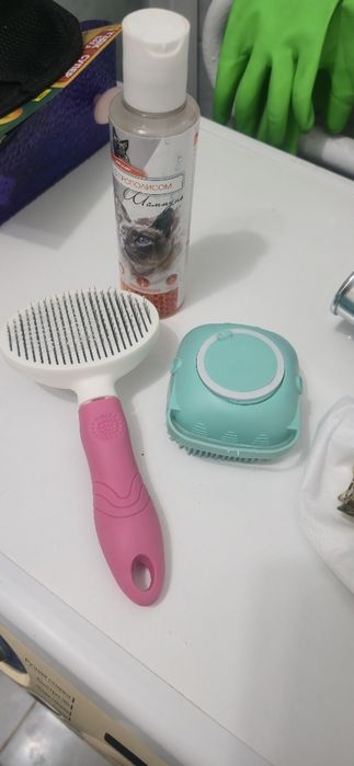 Отдам в добрые руки