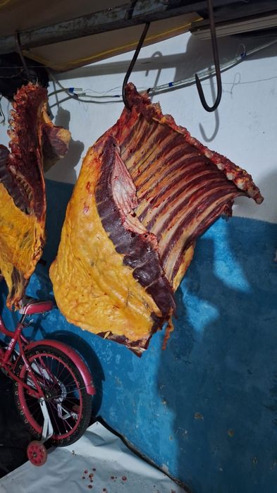 Продам пол туши кобылы