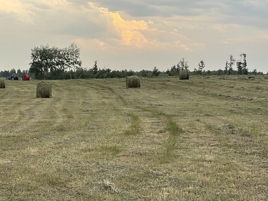 Продам сено рулонный