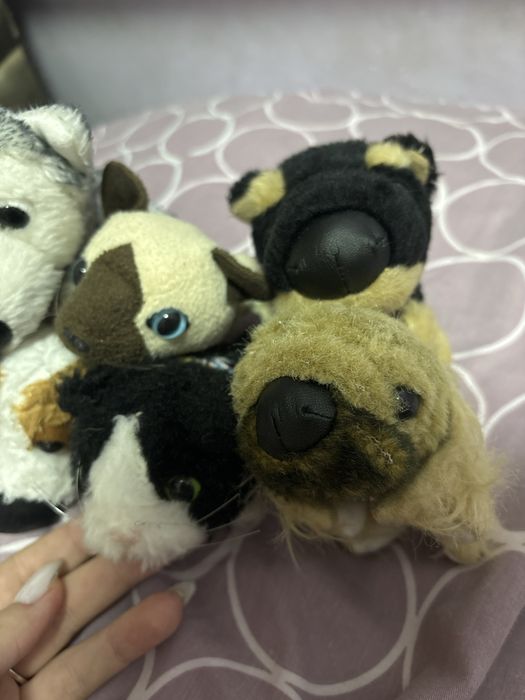 Котята и щенята игрушки