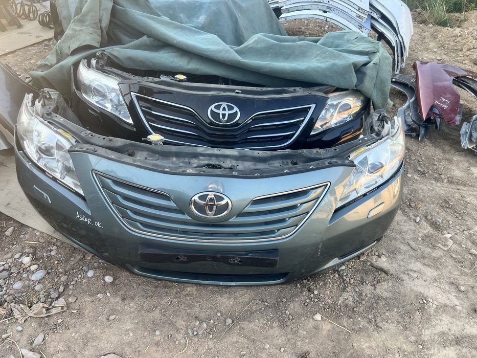 Камри миниморды нускаты