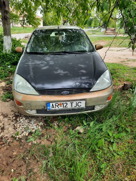 Ford Focus 1,6 benzina