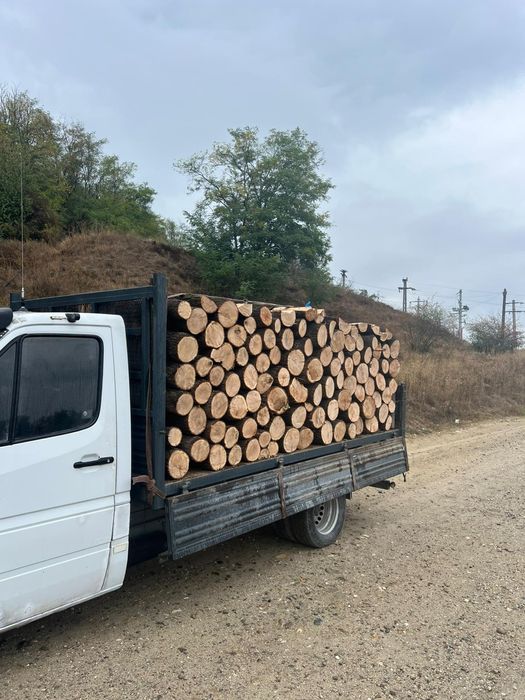 Vând lemne de foc esență tare fag și stejar