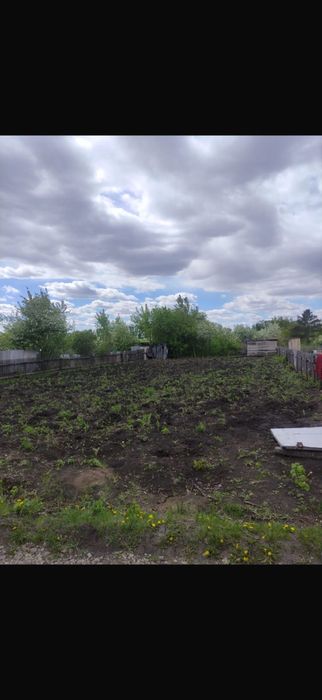 Продам дачный участок. Дачное общество Дружба