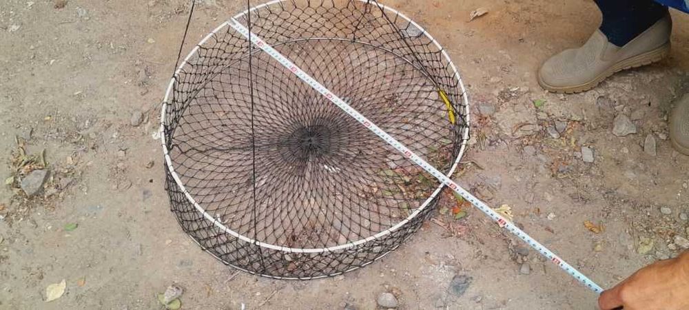 раколовки   для  собирания раков