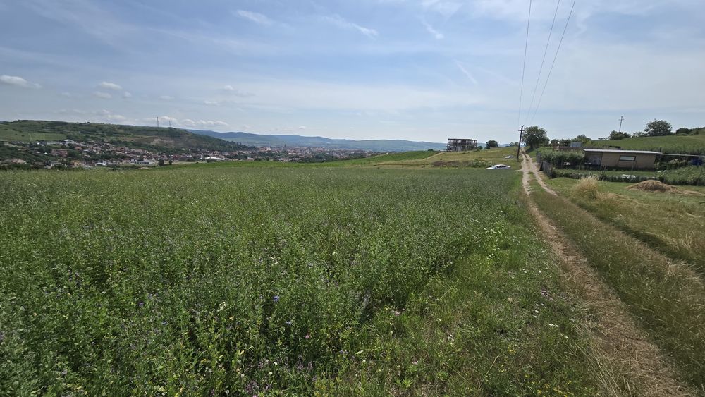 Teren la capătul strazii Ștefan cel Mare