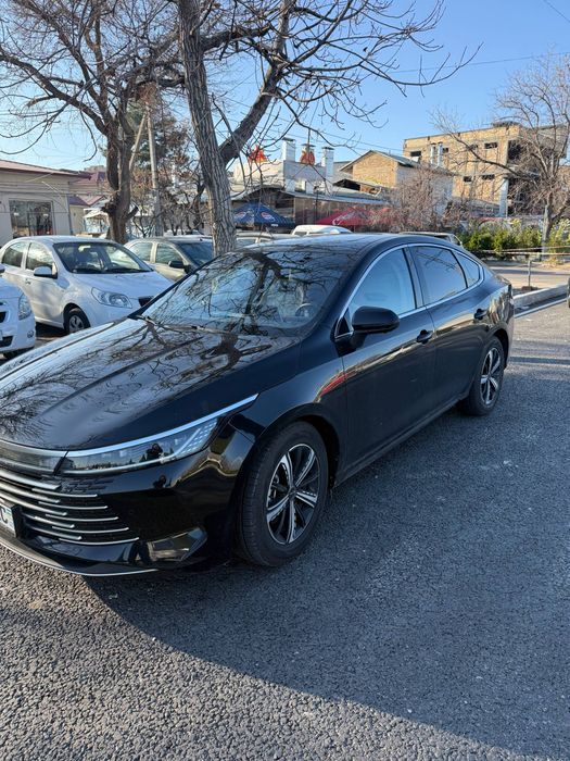 BYD chazor 120 yali 2023