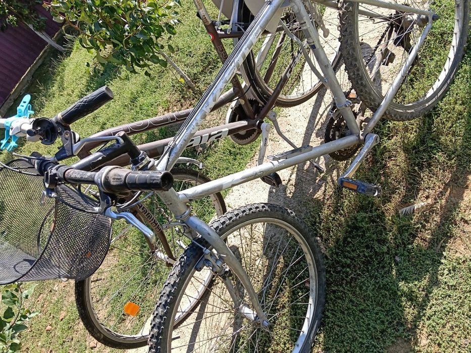 Biciclete bărbați femeii copiii