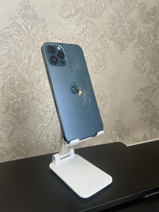 iPhone 13 & 12 Pro Max