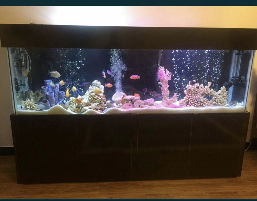 Akvarium Zakasga yasimiza