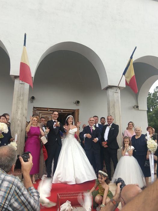 Porumbei evenimente Timișoara