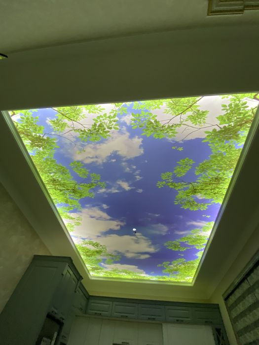 Натижной паталог