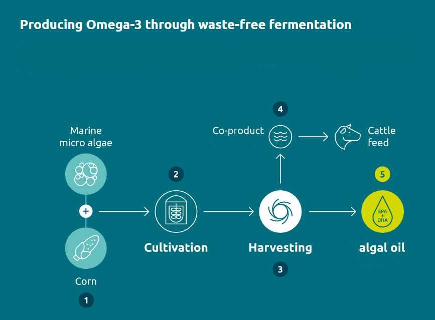 Omega 3 ULTRA GREEN / high EPA+DHA