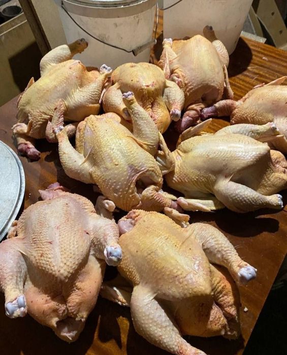 Домашние куриное мяса без ГМО продаются