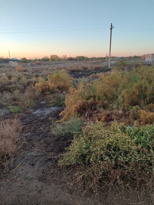 Joy orin satiladi beruniy sapxoz sentirda ikki joy oʻrin birerda