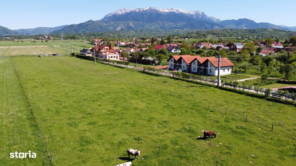 Teren plat P +4 Bran, panoramic munti, DN73, toate utilitatile
