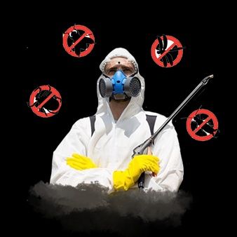 ДЕЗИНФЕКЦИЯ от клопов и таракан.