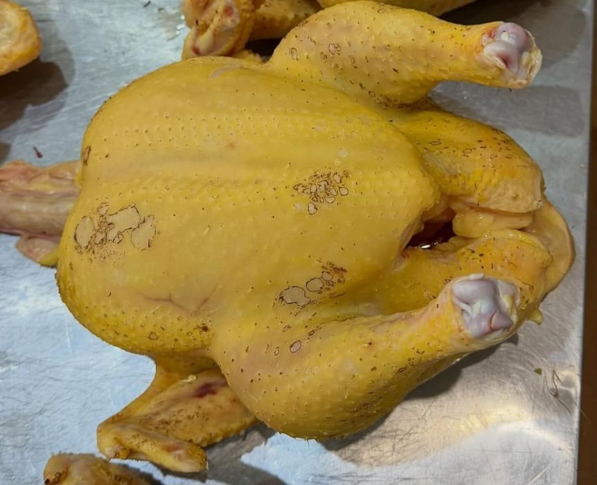 Тауык еті бройллер