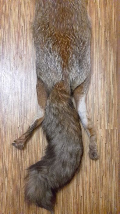 Яка от лисица