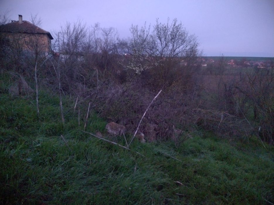 Продава се Парцел в с. Разделна, Област Варна - 1100 кв.м за 10 €/кв.м - Снимка #4