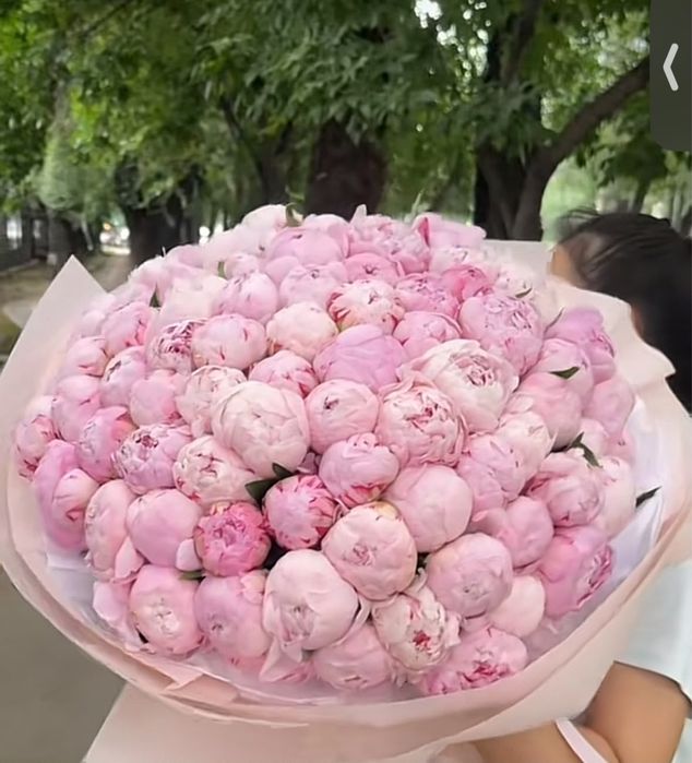 Цветы,розовые пионы
