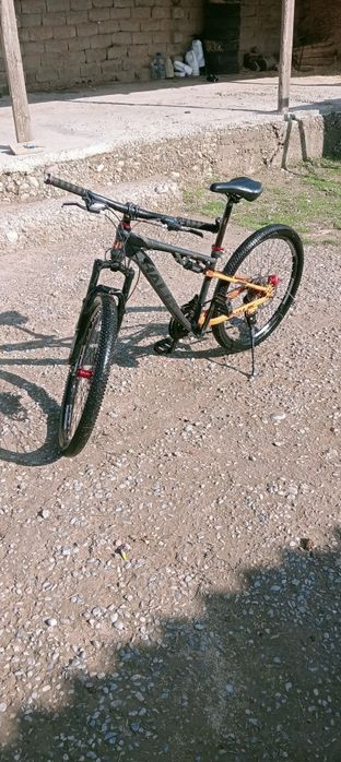 Halik өте жақсы жағдайда