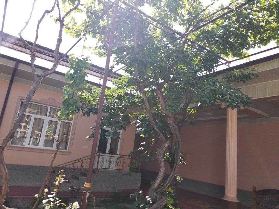 Toshloqda 12 sotixli  Hovli uy sotiladi
