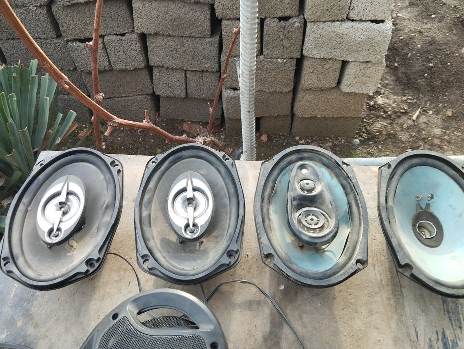 Kalonka kalonka kalonak