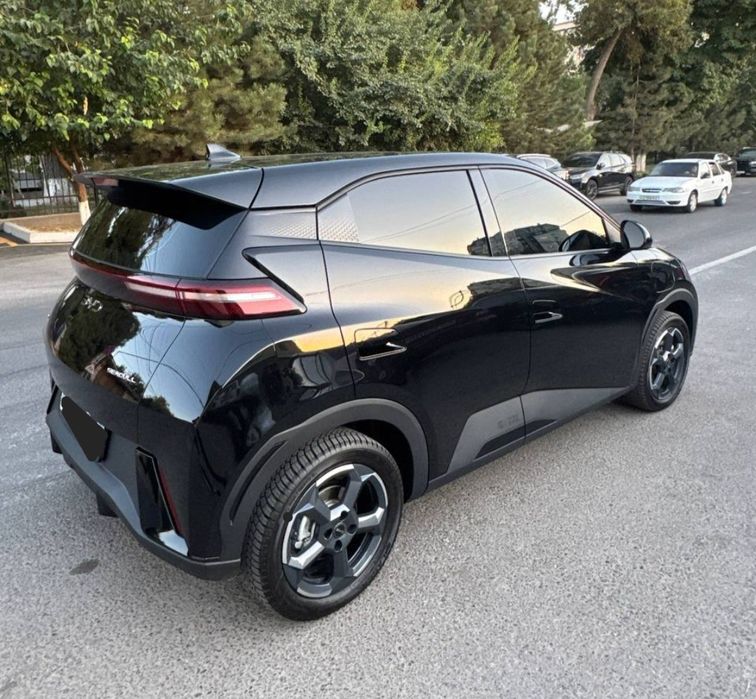 **‼️BYD seagull 2024‼️